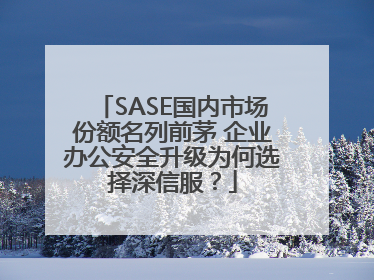SASE国内市场份额名列前茅 企业办公安全升级为何选择深信服？